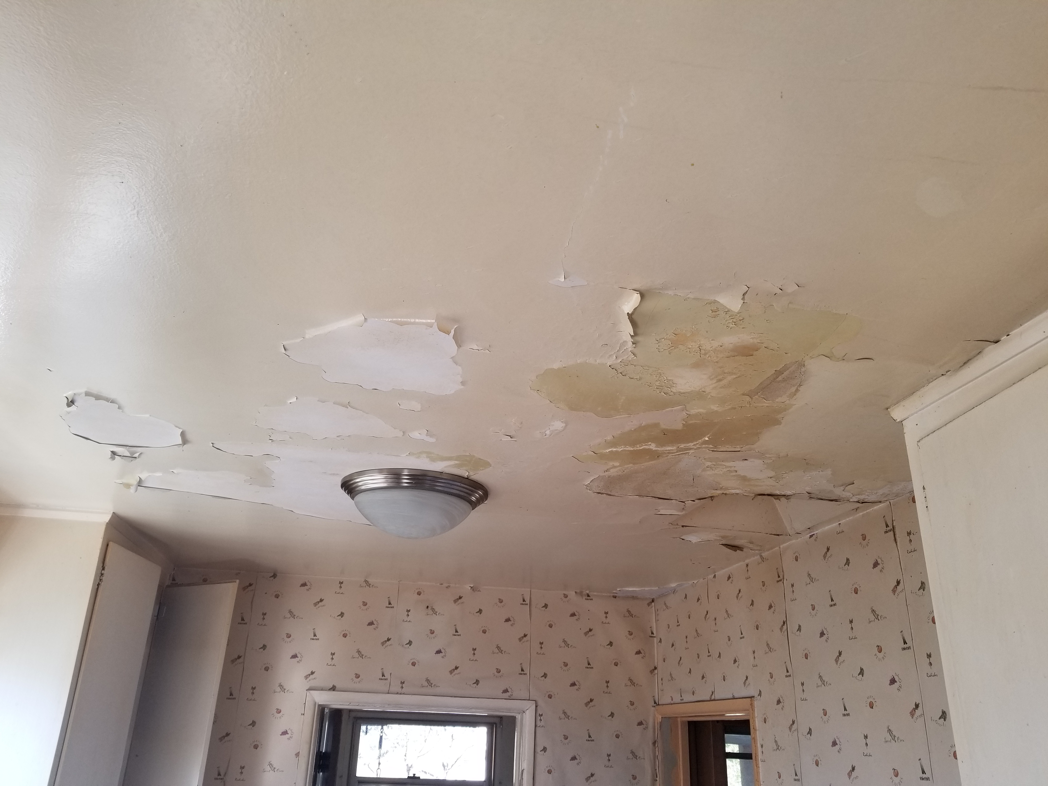 ADU Project in Tujunga, CA 09